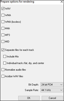 Prepare Options for Rendering dialog