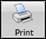 Print toolbar button