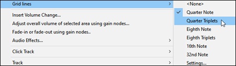 the Grid Lines submenu in the Tracks Window
